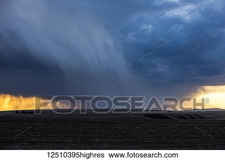 Stock Photograph - Dramatic storm cloud gathered over a farm field with dark, black soil and the horizon glowing with sunlight; Idaho, United States of America. Fotosearch