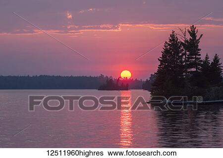 Dramatic sunset with a glowing golden sun and pink sky over a lake; Lake of the Woods, Ontario, Canada View Large Photo Image Stock Photograph - Dramatic sunset with a glowing golden sun and pink sky over a lake; Lake of the Woods, Ontario, Canada. Fotosearch