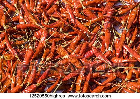 Dried chilies; Hoi An, Quang Nam, Vietnam View Large Photo Image Stock Photograph - Dried chilies; Hoi An, Quang Nam, Vietnam. Fotosearch