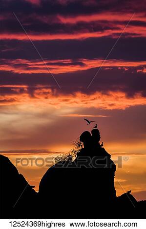 Stock Photograph - Dusk colours fill the sky at Tillamook Bay on the coast of Oregon; Garibaldi, Oregon, United States of America. Fotosearch