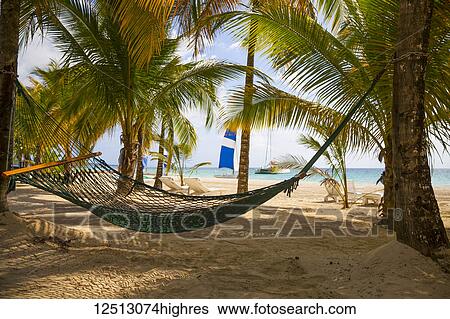 Empty hammock on a tropical beach; Negril, Jamaica View Large Photo Image Stock Photograph - Empty hammock on a tropical beach; Negril, Jamaica. Fotosearch
