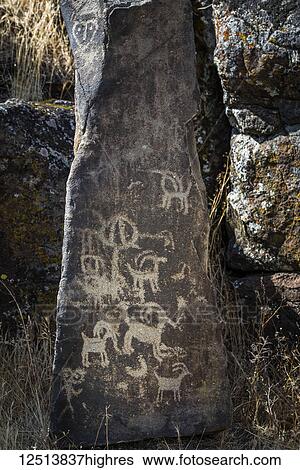 Excellent petroglyphs found at Columbia Hills Historical State Park; Murdock, Washington, United States of America View Large Photo Image Stock Photograph - Excellent petroglyphs found at Columbia Hills Historical State Park; Murdock, Washington, United States of America. Fotosearch