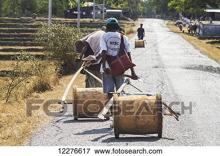 Farmers carrying their tools on a road, near Vemasse; Baucau, East Timor View Large Photo Image Stock Photo - Farmers carrying their tools on a road, near Vemasse; Baucau, East Timor. Fotosearch