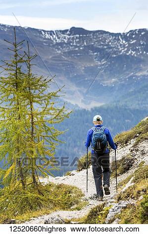 Female hiker along alpine trail with autumn colours and valley below; Sesto, Bolzano, Italy View Large Photo Image Stock Photograph - Female hiker along alpine trail with autumn colours and valley below; Sesto, Bolzano, Italy. Fotosearch