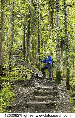 Stock Photograph - Female hiker climbing a series of logged wooden steps on a steep forest trail; Grainau, Bavaria, Germany. Fotosearch