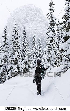 Female snowshoer on snowy trail overlooking snow-covered evergreen trees and a domed snow-capped mountain, Banff National Park; Lake Louise, Alberta, Canada View Large Photo Image Stock Photograph - Female snowshoer on snowy trail overlooking snow-covered evergreen trees and a domed snow-capped mountain, Banff National Park; Lake Louise, Alberta, Canada. Fotosearch