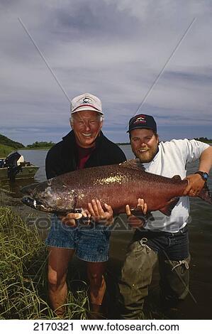 Fisherman & Guide Holding Large King Salmon Near Shoreline Nushagak River Southwest Ak Summer View Large Photo Image Stock Image - Fisherman & Guide Holding Large King Salmon Near Shoreline Nushagak River Southwest Ak Summer. Fotosearch