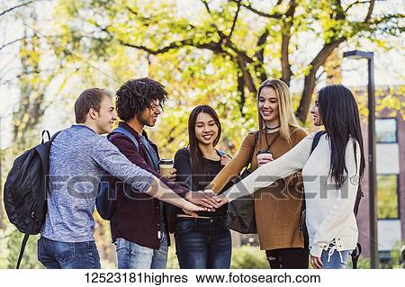 Five ethnically diverse student friends standing in a university campus with their hands on top each other's in agreememt that they are going to have a successful school year; Edmonton, Alberta, Canada View Large Photo Image Stock Photograph - Five ethnically diverse student friends standing in a university campus with their hands on top each other's in agreememt that they are going to have a successful school year; Edmonton, Alberta, Canada. Fotosearch