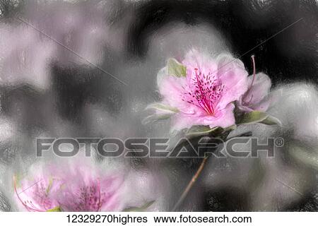 Stock Photograph - Flowers. Fotosearch