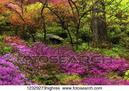 Stock Photograph - Flowers. Fotosearch