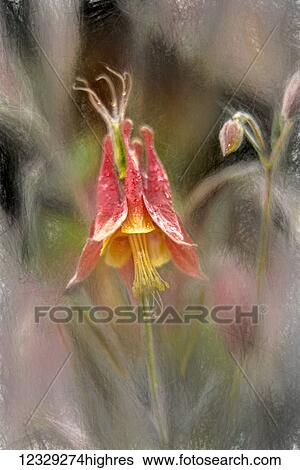 Stock Photograph - Flowers. Fotosearch