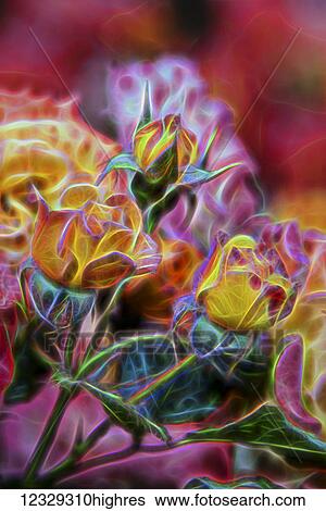 Flowers View Large Photo Image Stock Photograph - Flowers. Fotosearch