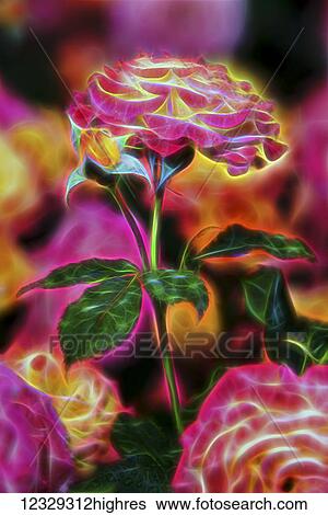 Flowers View Large Photo Image Stock Photograph - Flowers. Fotosearch