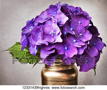 Stock Photograph - Flowers. Fotosearch