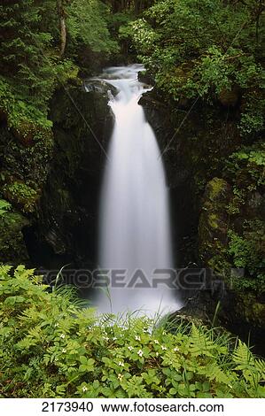 Flowing Waterfall On Sawmill Creek Near Juneau, Ak, Tongass National Forest Southeast Summer View Large Photo Image Stock Image - Flowing Waterfall On Sawmill Creek Near Juneau, Ak, Tongass National Forest Southeast Summer. Fotosearch