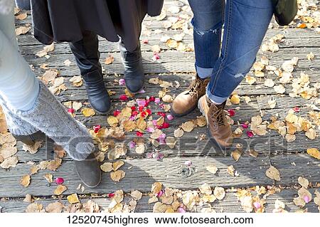 Footwear and legs of three women standing on a boardwalk in autumn; New Westminster, British Columbia, Canada View Large Photo Image Stock Photograph - Footwear and legs of three women standing on a boardwalk in autumn; New Westminster, British Columbia, Canada. Fotosearch