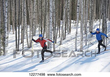 Friends enjoy nordic skiing on the Jim Whisenhant Cross Country Ski Trail system at Birch Hill Recreation Area in Fairbanks Alaska View Large Photo Image Stock Photo - Friends enjoy nordic skiing on the Jim Whisenhant Cross Country Ski Trail system at Birch Hill Recreation Area in Fairbanks Alaska. Fotosearch