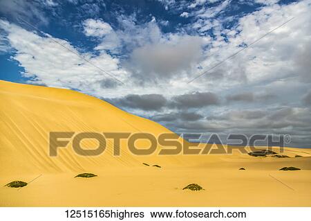 Stock Photograph - Golden sand dunes in the desert; Sossusvlei, Hardap Region, Namibia. Fotosearch