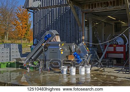 Grape separating machinery at a vineyard; Shefford, Quebec, Canada View Large Photo Image Stock Photograph - Grape separating machinery at a vineyard; Shefford, Quebec, Canada. Fotosearch