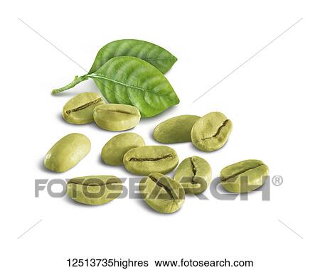Stock Photograph - Green coffee beans with two green leaves on a white background. Fotosearch