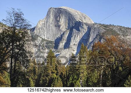 Stock Photograph - Half Dome as seen from Yosemite Valley, Yosemite National Park; California, United States of America. Fotosearch