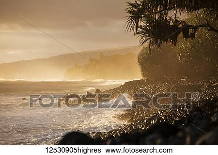 Stock Photograph - Hamakua coastline at sunrise, Lapahoehoe Nui Valley; Island of Hawaii, Hawaii, United States of America. Fotosearch