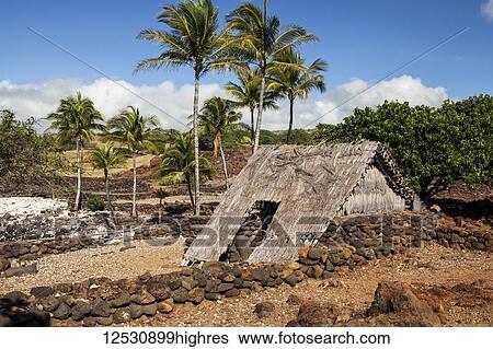 Stock Photograph - Hawaiian Hale (hut), old Hawaiian Village, Lapakahi State Historical Park, North Kohala Coast, between Kawaihae and Hawi; Island of Hawaii, Hawaii, United States of America. Fotosearch