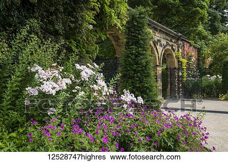 Herbaceous border flower bed of geraniums and roses and open gate to the Ornamental Garden in The Alnwick Garden; Northumberland, England View Large Photo Image Stock Photograph - Herbaceous border flower bed of geraniums and roses and open gate to the Ornamental Garden in The Alnwick Garden; Northumberland, England. Fotosearch