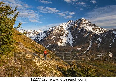 Hiker on a hillside that overlooks Powerline Pass valley and trail, Chugach State Park, Southcentral Alaska View Large Photo Image Stock Photograph - Hiker on a hillside that overlooks Powerline Pass valley and trail, Chugach State Park, Southcentral Alaska. Fotosearch