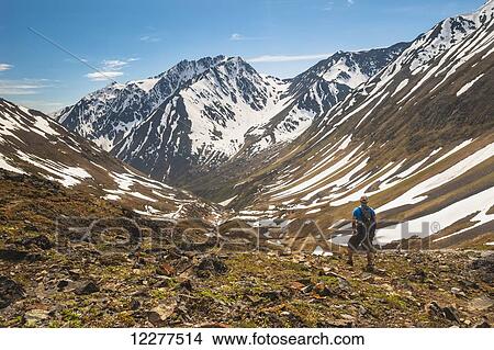 Hiker on Crow Pass Trail, in Chugach State Park near Girdwood, Southcentral Alaska, Summer. View Large Photo Image Picture - Hiker on Crow Pass Trail, in Chugach State Park near Girdwood, Southcentral Alaska, Summer.. Fotosearch