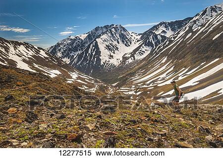 Hiker on Crow Pass Trail, in Chugach State Park near Girdwood, Southcentral Alaska, Summer. View Large Photo Image Stock Photography - Hiker on Crow Pass Trail, in Chugach State Park near Girdwood, Southcentral Alaska, Summer.. Fotosearch