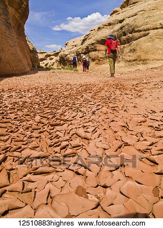 Stock Photograph - Hikers walk along the dry cracked mud beside sandstone cliffs; Hanksville, Utah, United States of America. Fotosearch