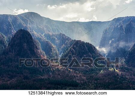 Stock Photograph - Hot spots smoke long after a wildfire in the Columbia Gorge,; Warrendale, Oregon, United States of America. Fotosearch