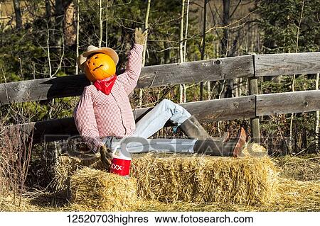 Humorous halloween mannequin sitting on hay bale with pumpkin head and wooden fence; Bragg Creek, Alberta, Canada View Large Photo Image Stock Photograph - Humorous halloween mannequin sitting on hay bale with pumpkin head and wooden fence; Bragg Creek, Alberta, Canada. Fotosearch