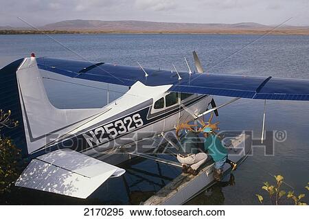 Hunters Tying Caribou Antlers On Cessna 185 Floatplane For Flyout On Successful Hunt Western Alaska Autumn View Large Photo Image Stock Photography - Hunters Tying Caribou Antlers On Cessna 185 Floatplane For Flyout On Successful Hunt Western Alaska Autumn. Fotosearch
