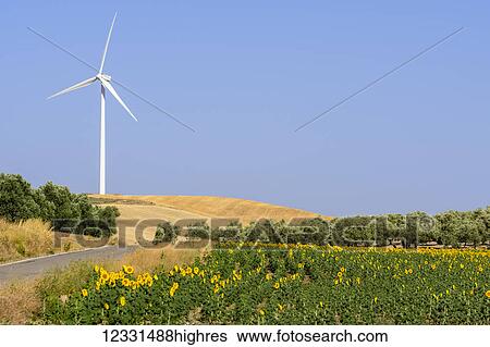 Industry View Large Photo Image Stock Photograph - Industry. Fotosearch