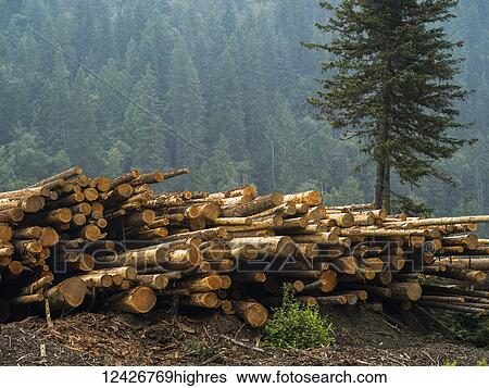 Stock Photograph - Industry. Fotosearch