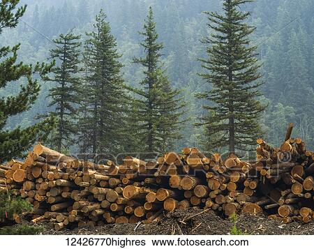 Stock Photograph - Industry. Fotosearch