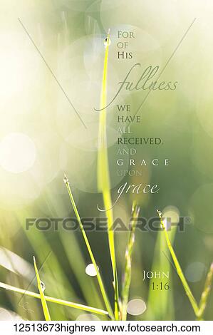 Stock Photograph - Inspirational artwork with a Bible verse from John 1: 16 with a background of dew drops on grass. Fotosearch