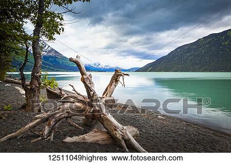 Kenai Lake beach, Chugach National Forest, South-central Alaska in summertime; Alaska, United States of America View Large Photo Image Stock Photograph - Kenai Lake beach, Chugach National Forest, South-central Alaska in summertime; Alaska, United States of America. Fotosearch