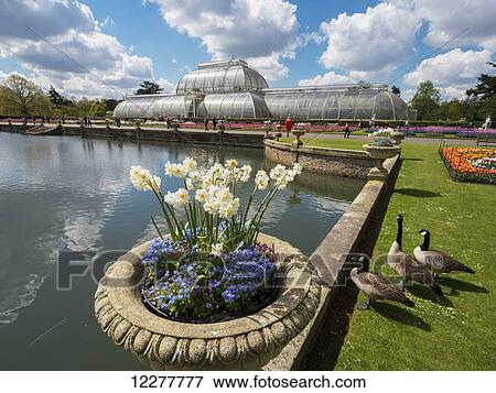 Stock Photo - Kew Gardens, Palm house and tulips; London, England. Fotosearch