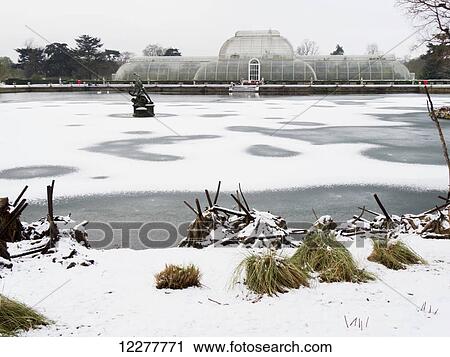Kew Gardens, Palm House in winter; London, England View Large Photo Image Stock Image - Kew Gardens, Palm House in winter; London, England. Fotosearch
