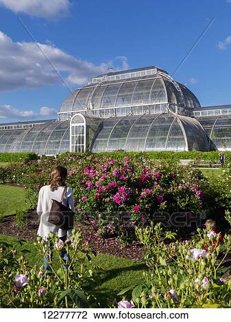 Kew Gardens, Temperate House in summertime; London, England View Large Photo Image Stock Image - Kew Gardens, Temperate House in summertime; London, England. Fotosearch