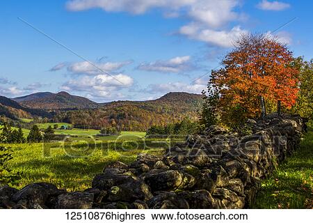 Stock Photograph - Landscape of autumn coloured forests on the hills and a stone wall across a field in the foreground; Iron Hill, Quebec, Canada. Fotosearch