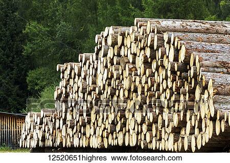Stock Photograph - Large pile of stacked logs; San Candido, Bolzano, Italy. Fotosearch