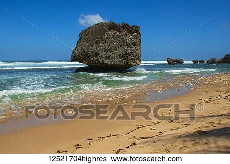 Stock Photograph - Large rock which was broken away from a coral reef, on Bathsheba Beach; Barbados. Fotosearch