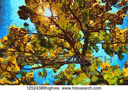 Large tree with paint effect; Alberta, Canada View Large Photo Image Stock Photograph - Large tree with paint effect; Alberta, Canada. Fotosearch