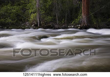 Stock Photograph - Leigh Creek is nestled among the pines at the bottom of Leigh Canyon in Bighorn National Forest; Wyoming, United States of America. Fotosearch