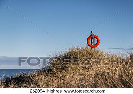 Life preserver amidst the grasses on the top of dunes with a view to the sea and blue skies; Northumberland, England View Large Photo Image Stock Photograph - Life preserver amidst the grasses on the top of dunes with a view to the sea and blue skies; Northumberland, England. Fotosearch