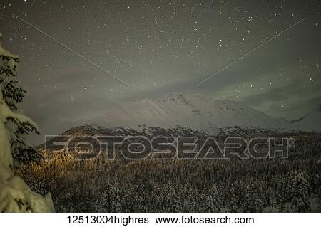 Light pollution illuminates a spruce forest on a mountainside on a starry night with snow covering the mountain ridge in the distance, Kenai Peninsula, South-central Alaska; Moose Pass, Alaska, United States of America View Large Photo Image Stock Photograph - Light pollution illuminates a spruce forest on a mountainside on a starry night with snow covering the mountain ridge in the distance, Kenai Peninsula, South-central Alaska; Moose Pass, Alaska, United States of America. Fotosearch